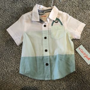 Cat and jack buttons down shark shirt